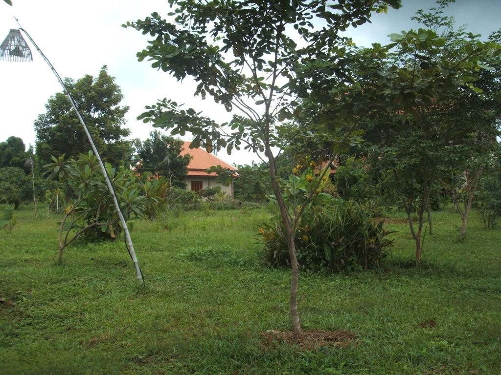 Green Plateau Lodge Banlung Εξωτερικό φωτογραφία