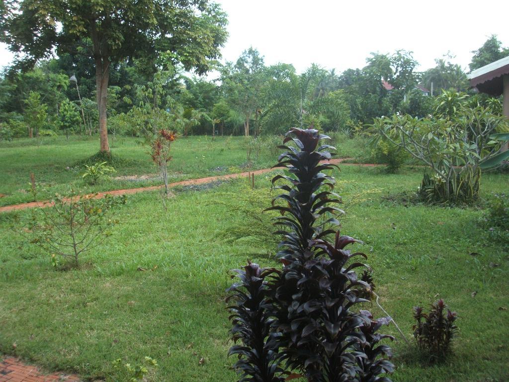 Green Plateau Lodge Banlung Εξωτερικό φωτογραφία